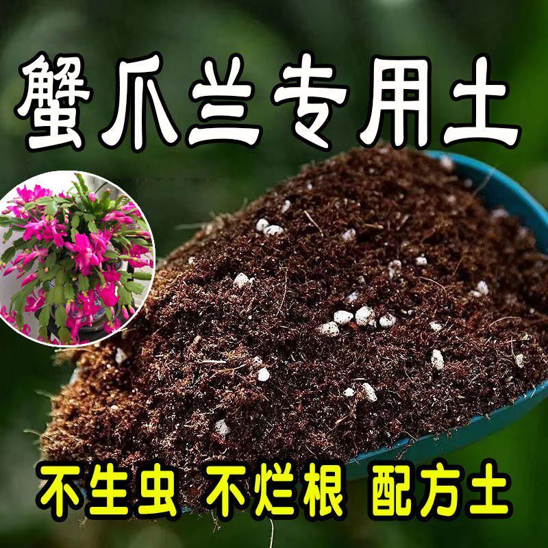 【蟹爪兰专用土】营养土家庭盆栽绿植室内植物肥料种植土图片