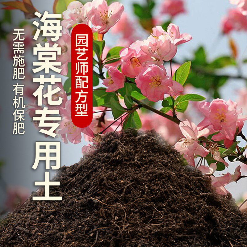 海棠花专用土盆栽土养花泥土阳台种植土海棠花营养土肥料透气土壤