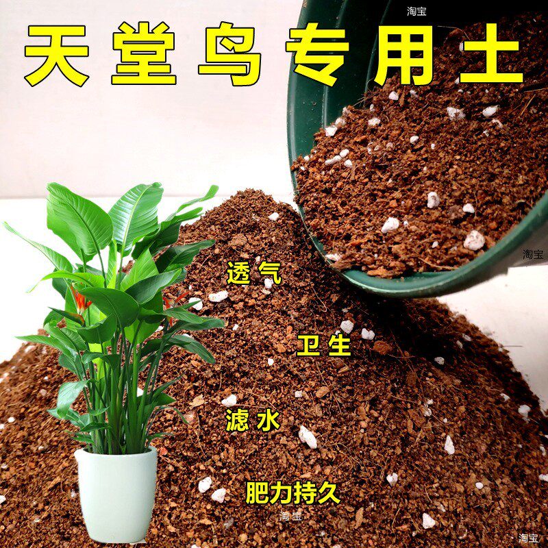 天堂鸟专用土网红盆栽花卉通用土壤有机土家庭园艺营养土新土热卖