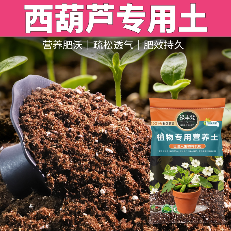 西葫芦适用轻质土疏松透气阳台屋顶种植土干湿循环好促发芽营养土