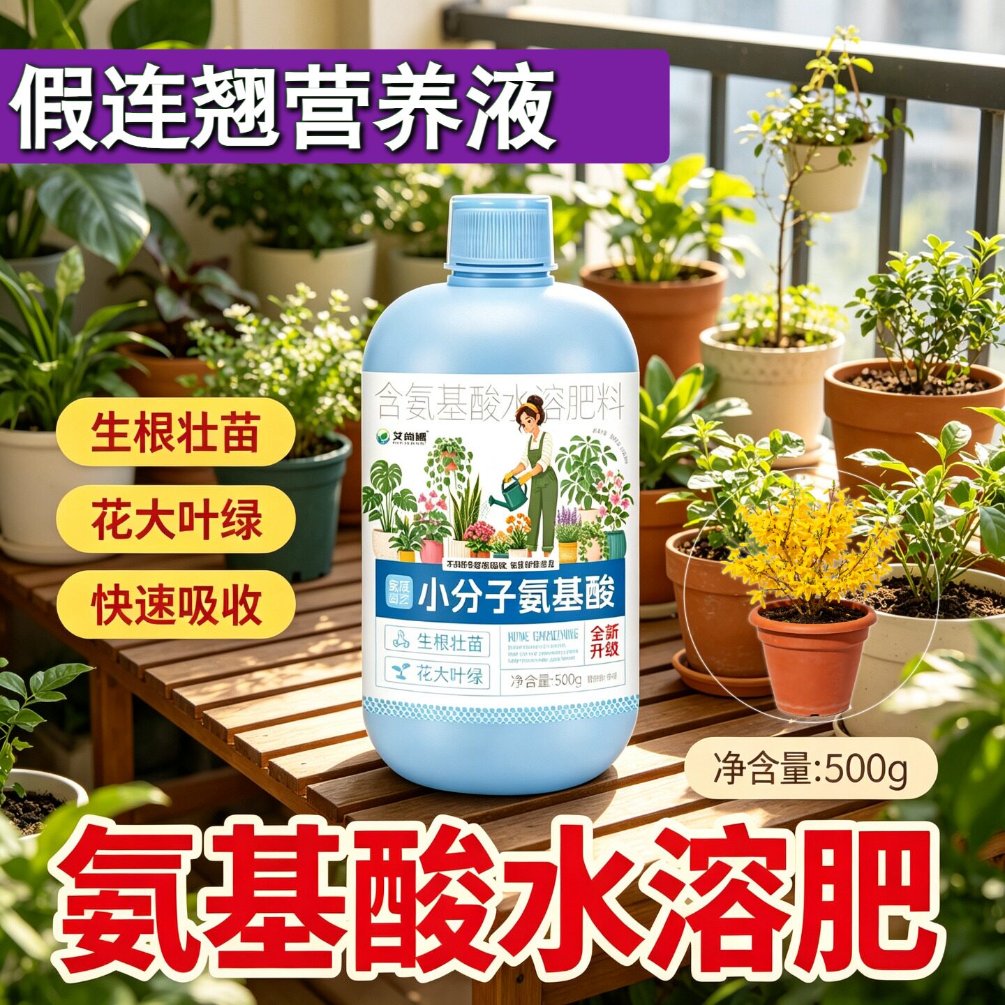 假连翘专用营养液小分子氨基酸适用广泛盆栽快速吸收园艺浓缩高效