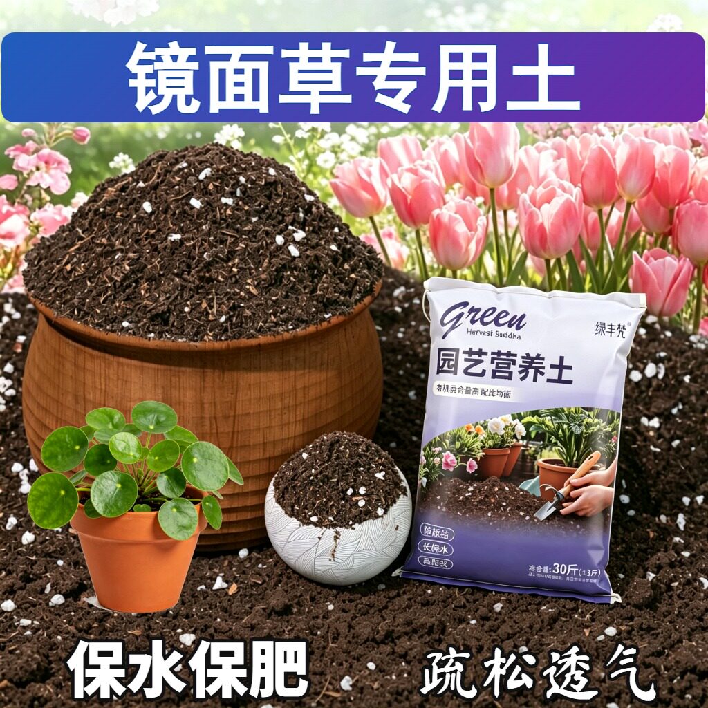 镜面草适用养花土加珍珠岩保水保肥盆景泥炭基质进口防徒长多肉