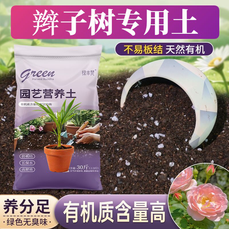 辫子树专用基质疏松透气家庭园艺加深生根粉进口绿叶观花泥炭基质