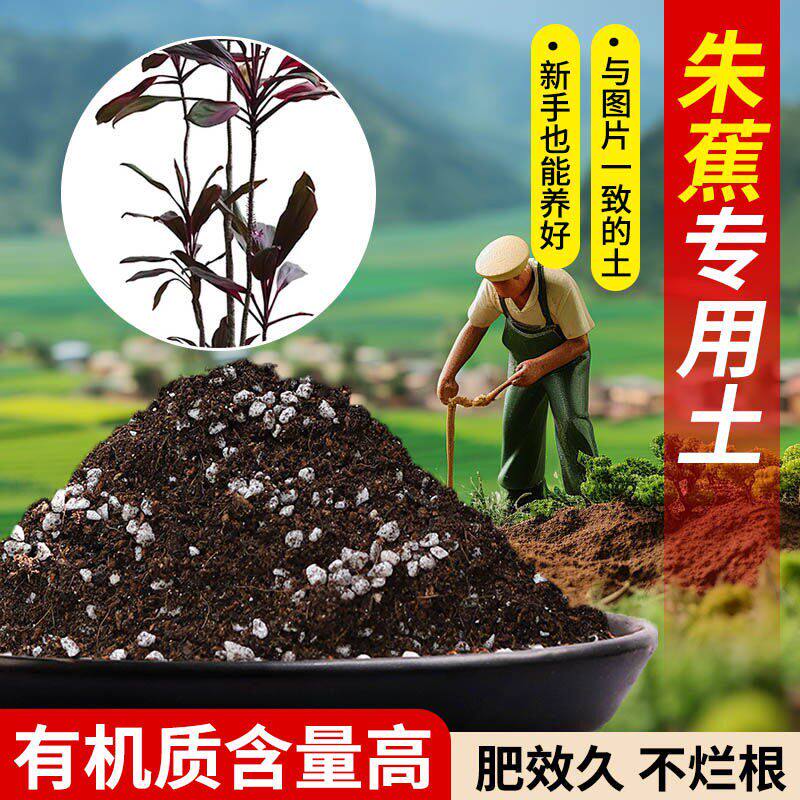 朱蕉专用营养土疏松透气含泥炭肥料通用有机种植土适用土轻质