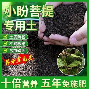 小盼菩提种植土壤专用营养土盆栽土种花养花土育苗土君子兰花土壤