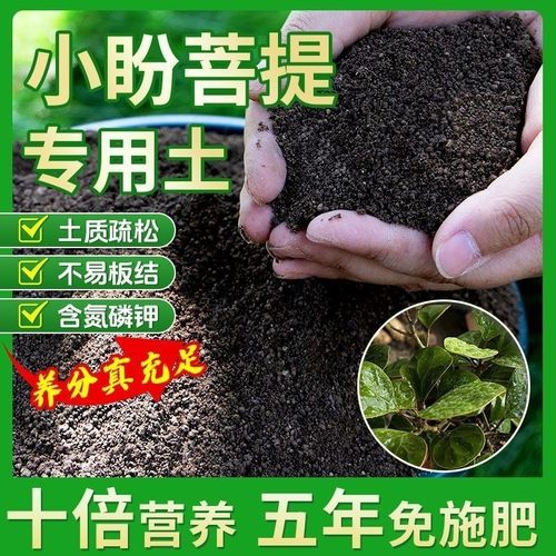 小盼菩提种植土壤专用营养土盆栽土种花养花土育苗土君子兰花土壤
