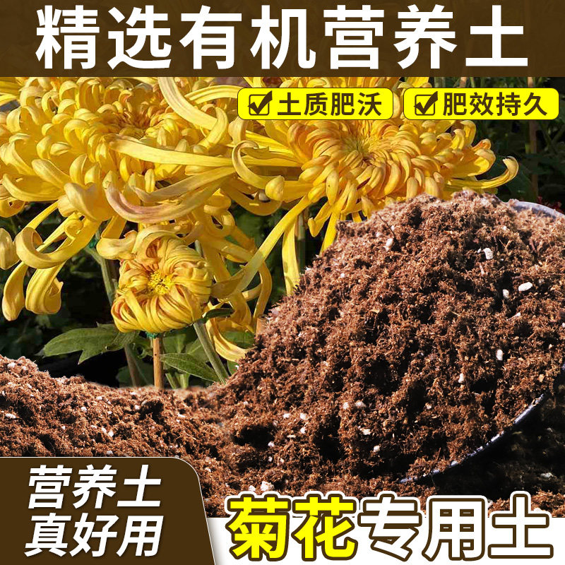 菊花适用配方土种植土干湿循环好促发芽菜园阳台营养土轻质土园土
