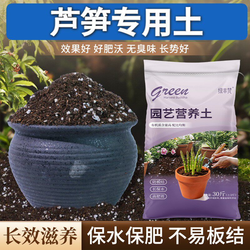 芦笋适用种植土保水锁肥花园加有机肥进口增色观叶园艺有机营养土