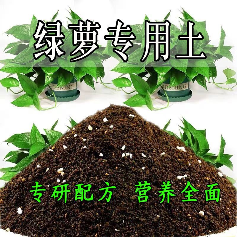 绿萝专用土绿萝专用营养土种植土壤室内种花养花土盆栽土花卉肥料
