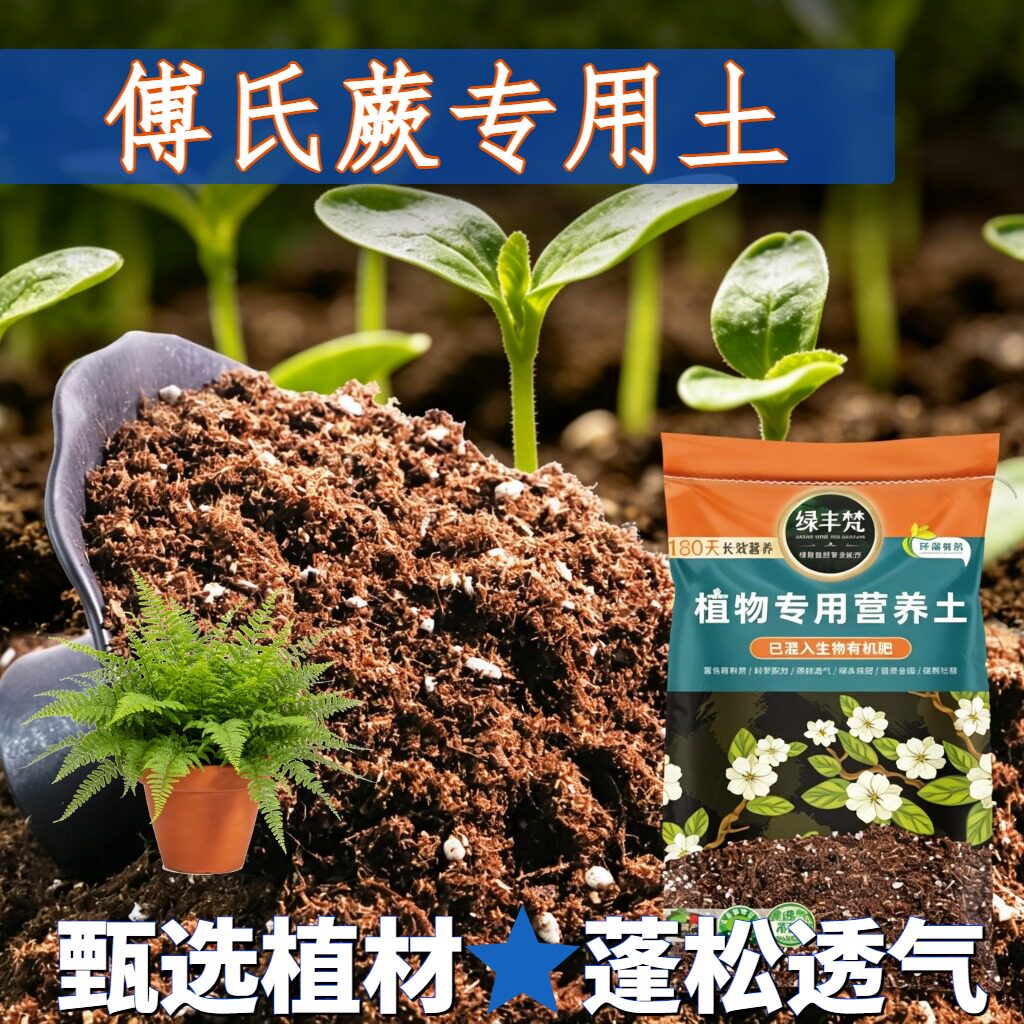傅氏蕨适用轻质园艺土蓬松多孔营养土天然原料壮根开袋即用观花