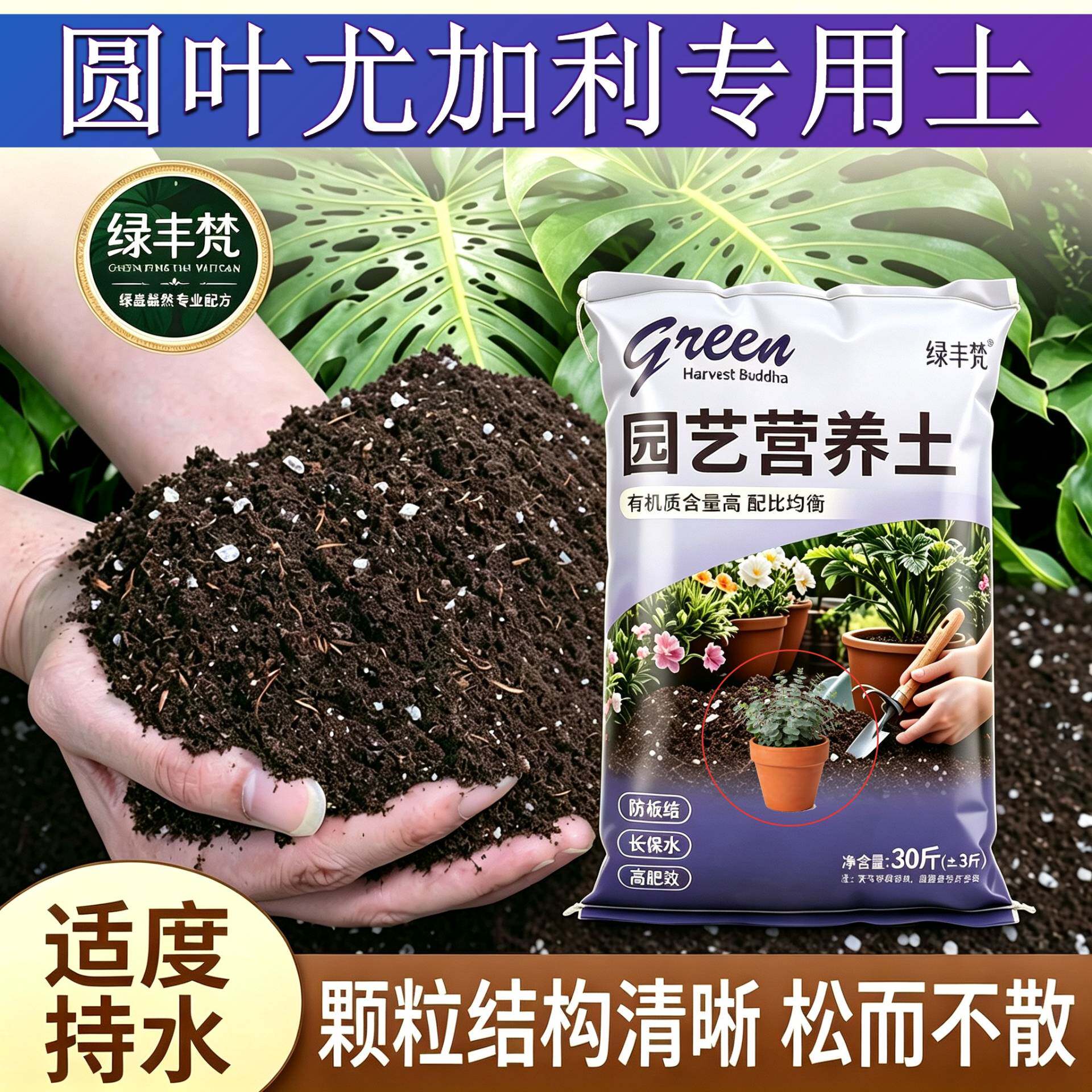 圆叶尤加利专用盆景土防烂根不闷根家庭园艺大包进口防徒长木本