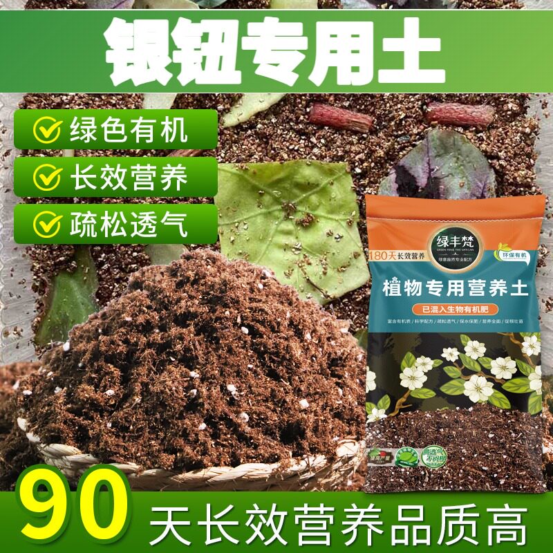 银钮适用营养土利于发根盆景种植土安全可靠维持疏松大包装球根