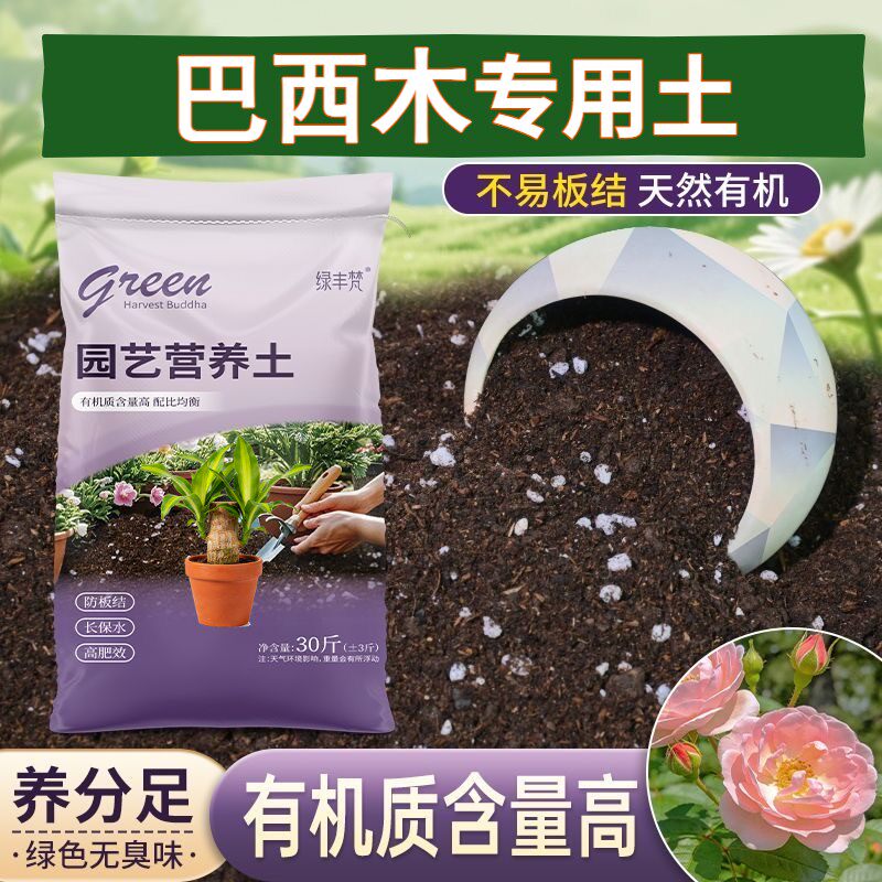巴西木专用盆景土不板结育苗大包有机促生长球根扦插腐殖泥炭土