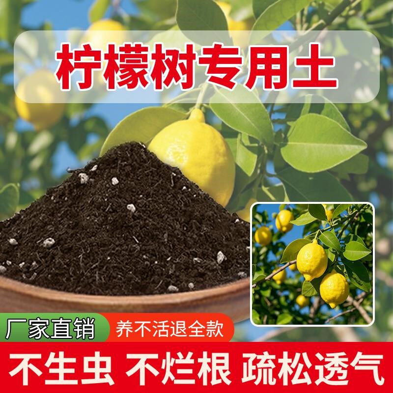 柠檬树专用土泥土栽培土多肉土花园花草蓬松养花专用土阳台种菜土
