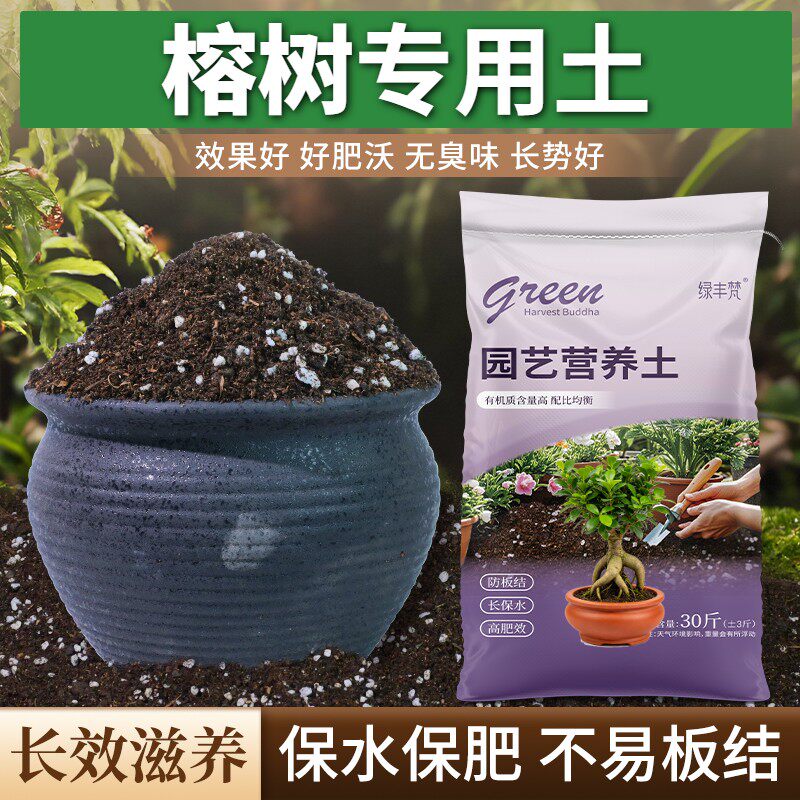 榕树专用盆景土不闷根加珍珠岩盆栽加有机肥有机绿叶喜酸防徒长