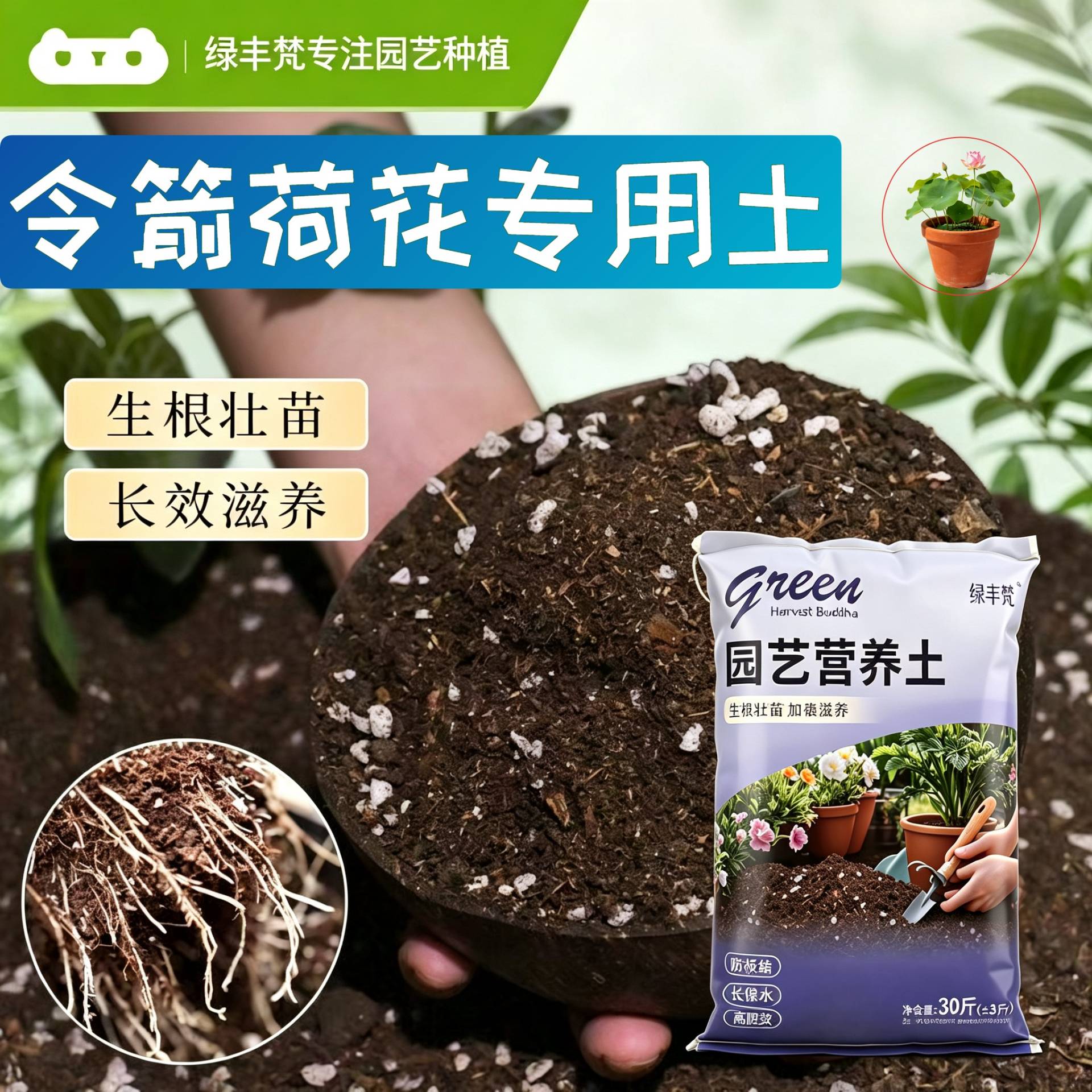 令箭荷花专用含泥炭加珍珠岩盆景大包优质防黄叶木本加深生根粉