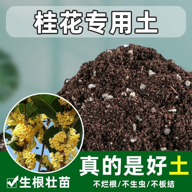 养桂花树专用土营养土盆栽土肥料专用肥土壤泥土种植土腐叶腐殖土