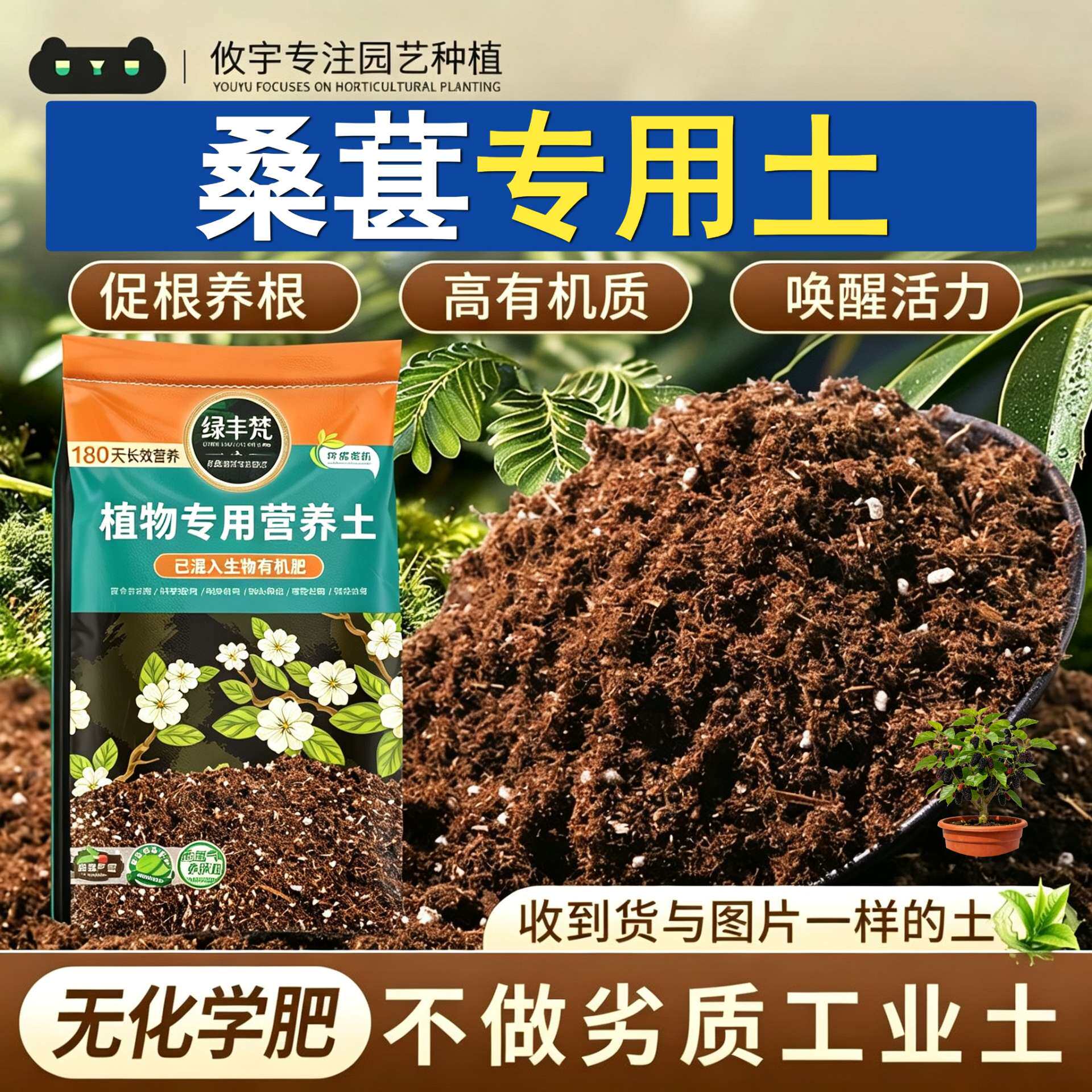 桑葚专用营养土轻质好用盆景盆栽土质地松软留存水分试用装观叶