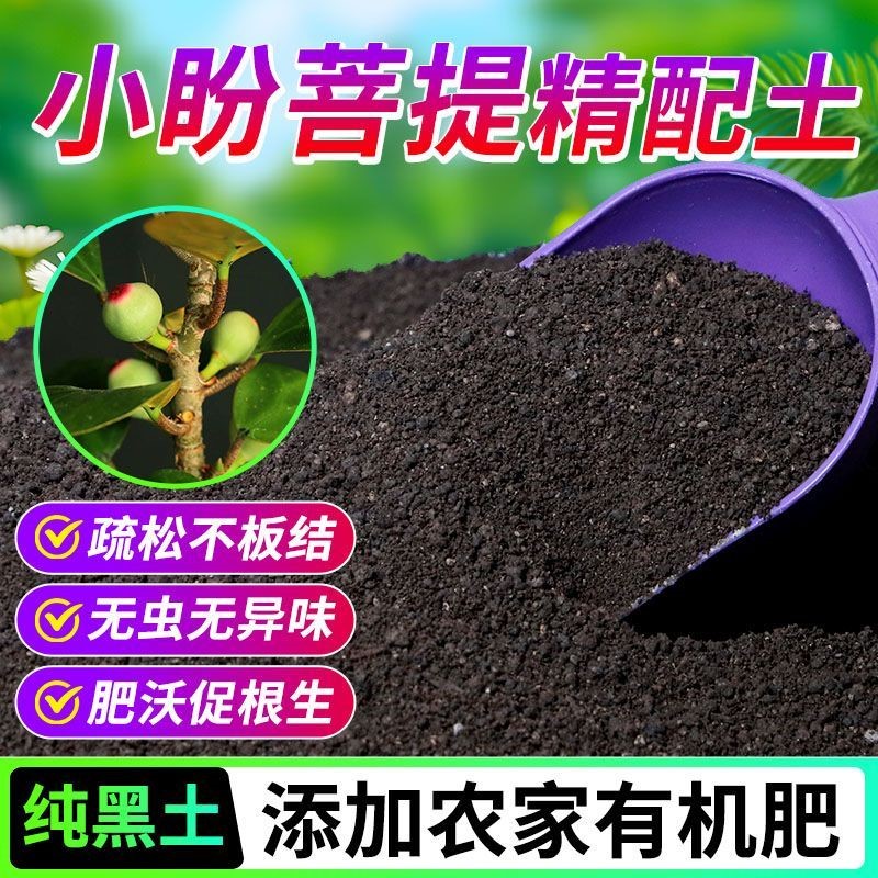 小盼菩提有机专用泥炭土轻质基质土科学配比营养土进口喜酸