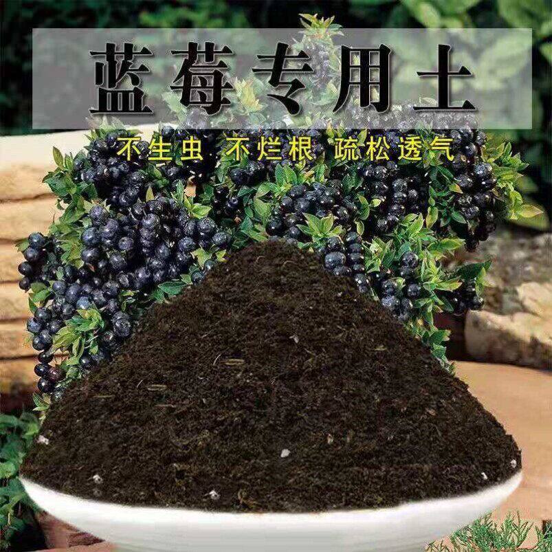 蓝莓专用土绿植蓬松植物发酵育苗盆栽土壤包邮泥土蓝莓营养土泥土