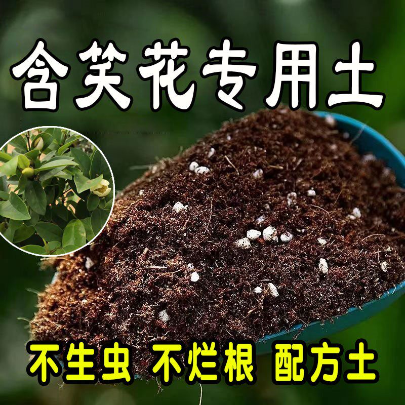 含笑花专用营养土 含笑花专用土 通用种花养花种植土有机土盆栽