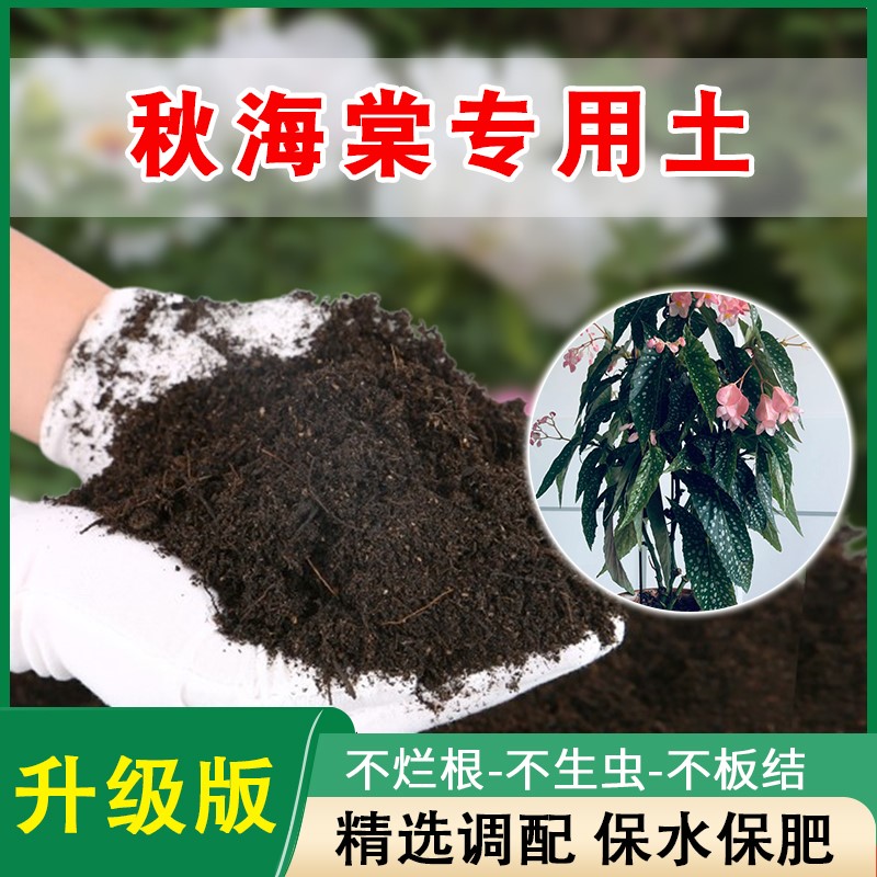 秋海棠专用土海棠营养土竹节海棠通用营养土家庭盆栽肥料种植土壤