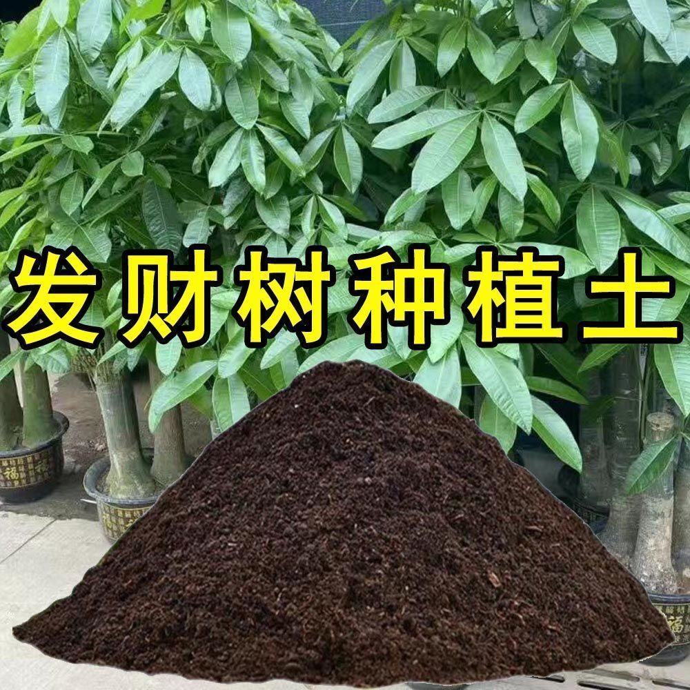 发财树营养土种植土发财树专用土阳台种花养花土疏松家用花卉土壤