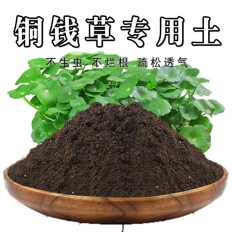 铜钱草专用土铜钱草土盆栽营养土通用种花养花泥土壤种植土有机肥