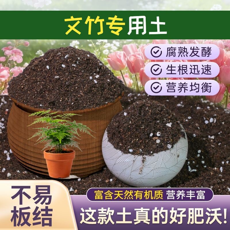 文竹专用有机土保水锁肥防烂根育苗泥炭基质精选增色球根包邮天然