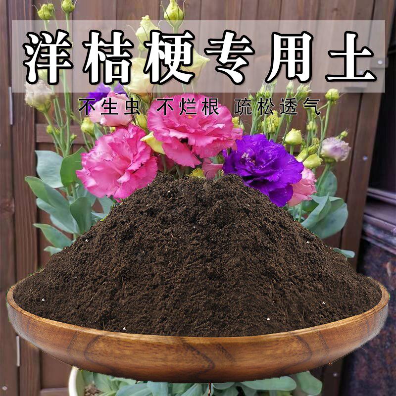 洋桔梗专用土盆栽种花洋桔梗营养土通用养花泥土有机肥料种植土壤