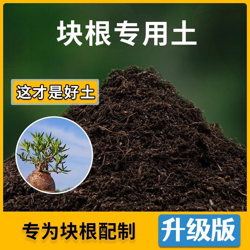 块根专用土块根营养土家用种植土壤家庭盆栽种花养花有机土包邮