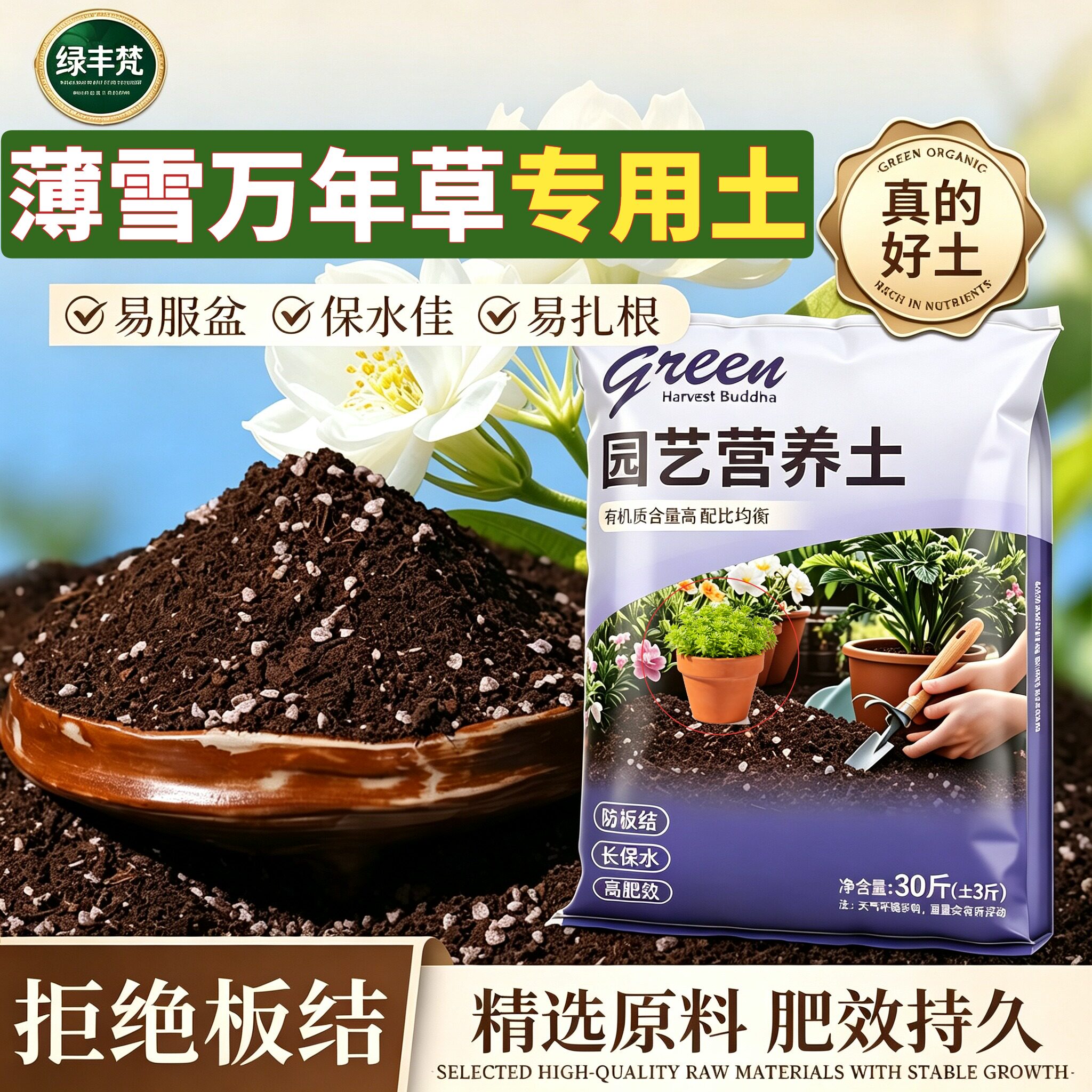 薄雪万年草专用含泥炭不闷根高温灭菌花园加有机肥无菌绿叶观叶
