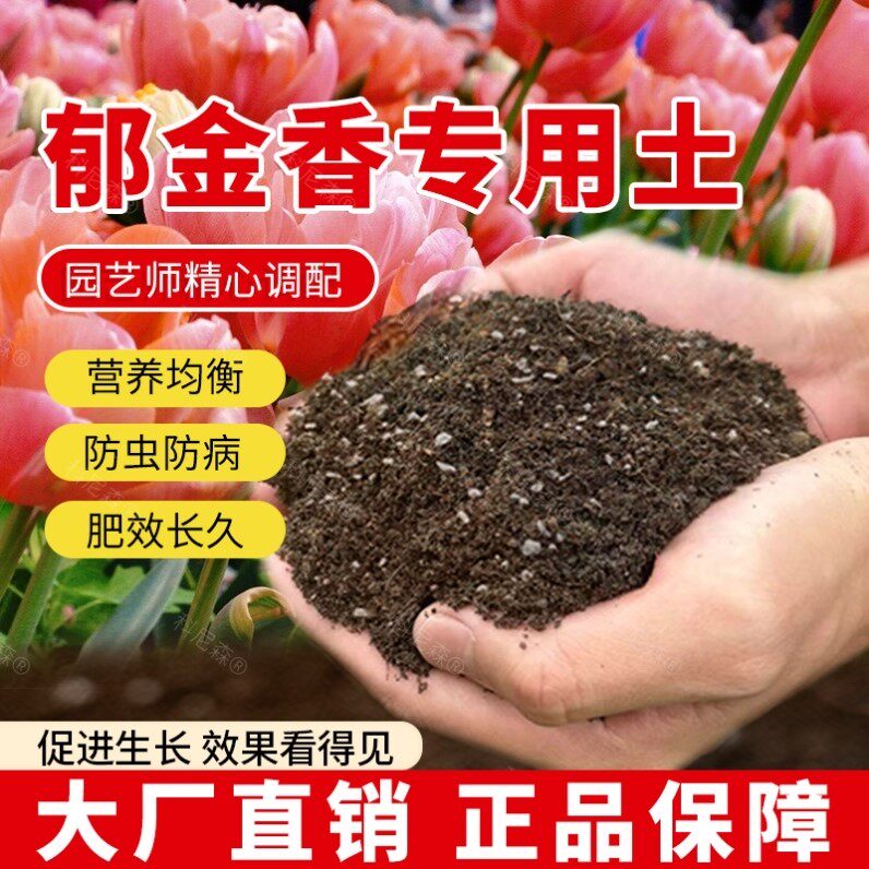 郁金香专用土种植营养土养花郁金香专用肥料育苗花土透气盆栽土壤