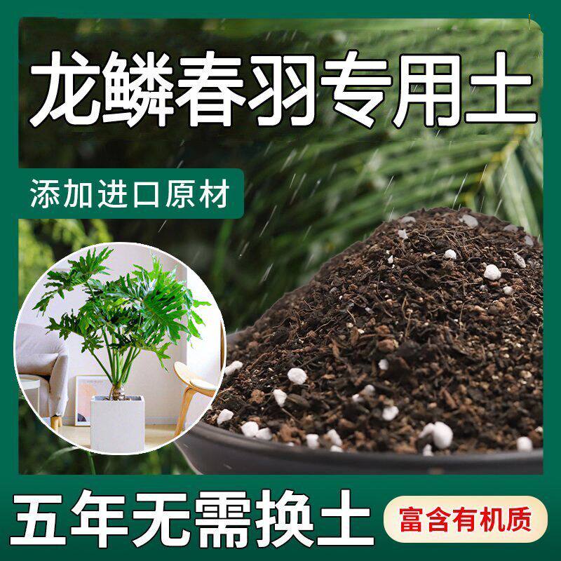 龙鳞春羽专用土办公室家庭盆栽营养土进口泥炭土配方土壤肥料