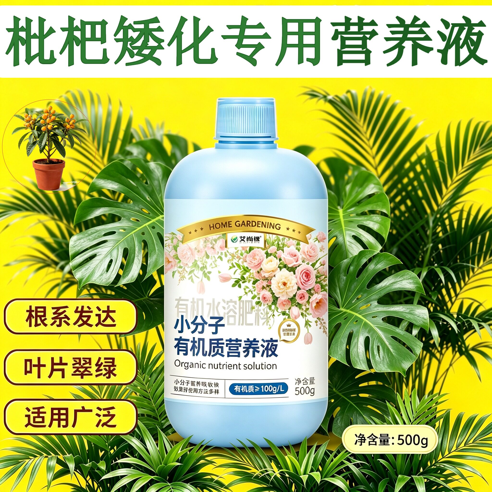 枇杷矮化适用水培型营养液根叶双补兑水即用盆栽园艺浓缩高效专用