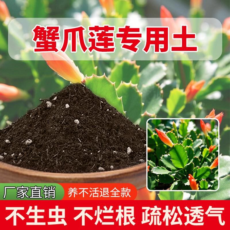 蟹爪莲专用土养花专用土绿植阳台通用型家庭花肥花卉种菜土蓬松