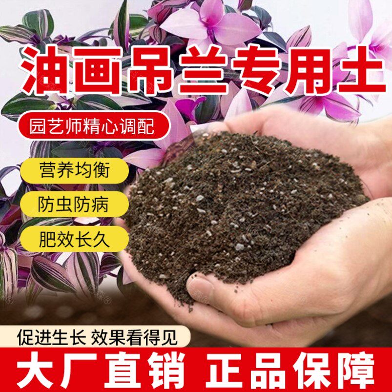 油画吊兰专用土肥料油画吊兰营养土泥土花盆种花绿植育苗花土椰砖图片