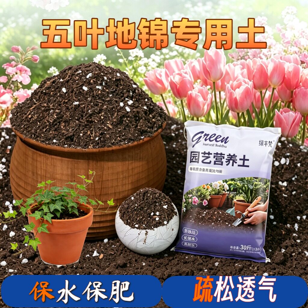五叶地锦适用养花土腐殖泥炭土防烂根家庭园艺大包优质促生长球根