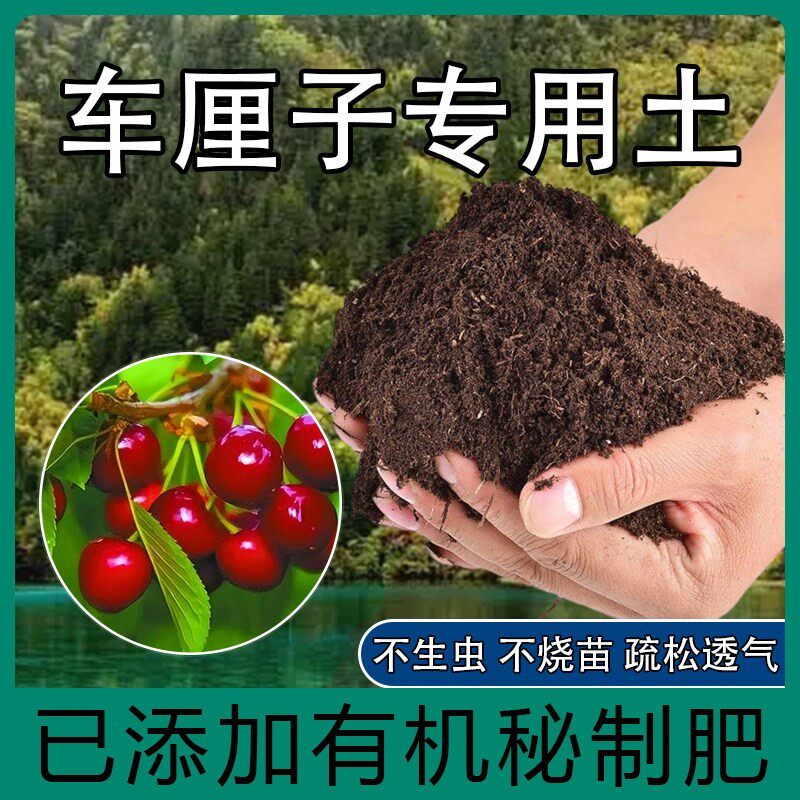 车厘子专用土种果树樱桃树专用土泥土种植土壤树苗专用肥料营养土