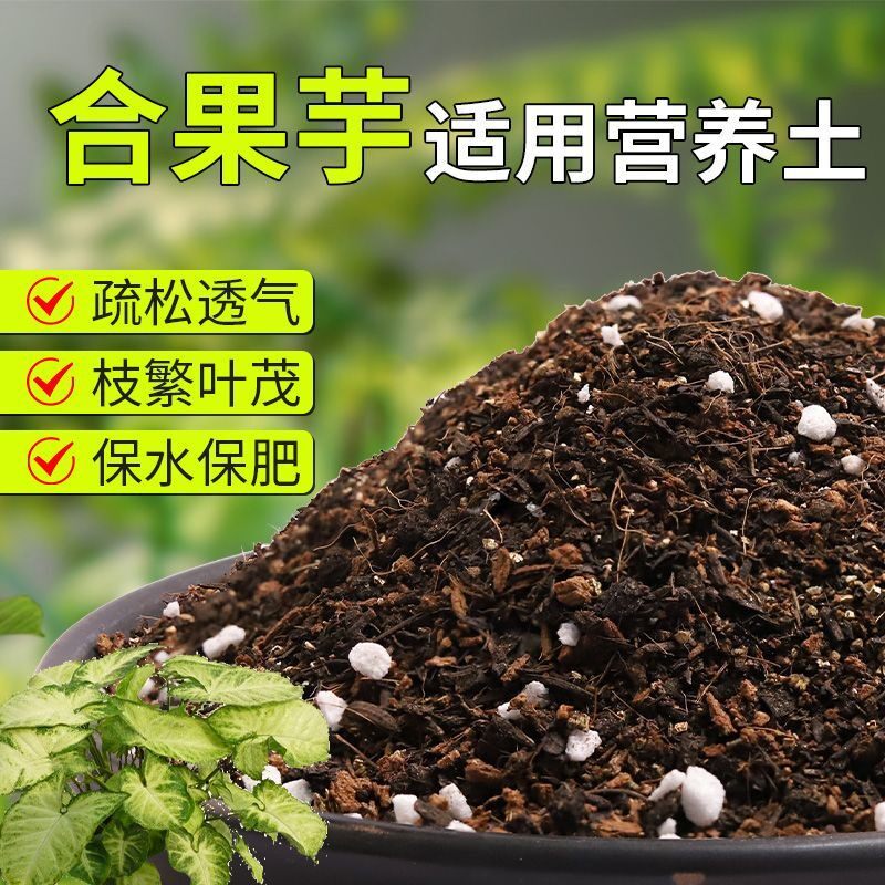 【合果芋专用土】疏松透气盆栽绿植专用室内植物有机营养土肥料