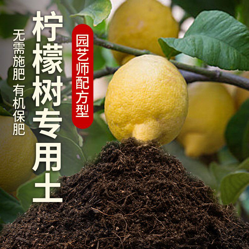 柠檬专用土农业果园培养土家庭阳台柠檬树营养土种植土香水柠檬土