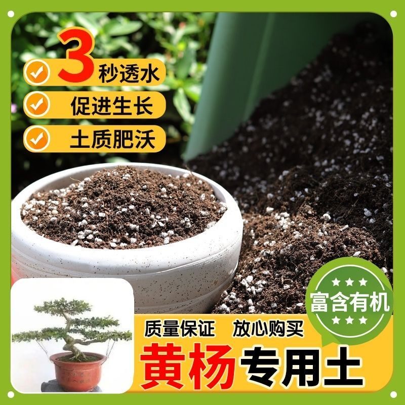 【黄杨专用土】家用盆栽土加生根粉绿植专用有机植物营养肥料土