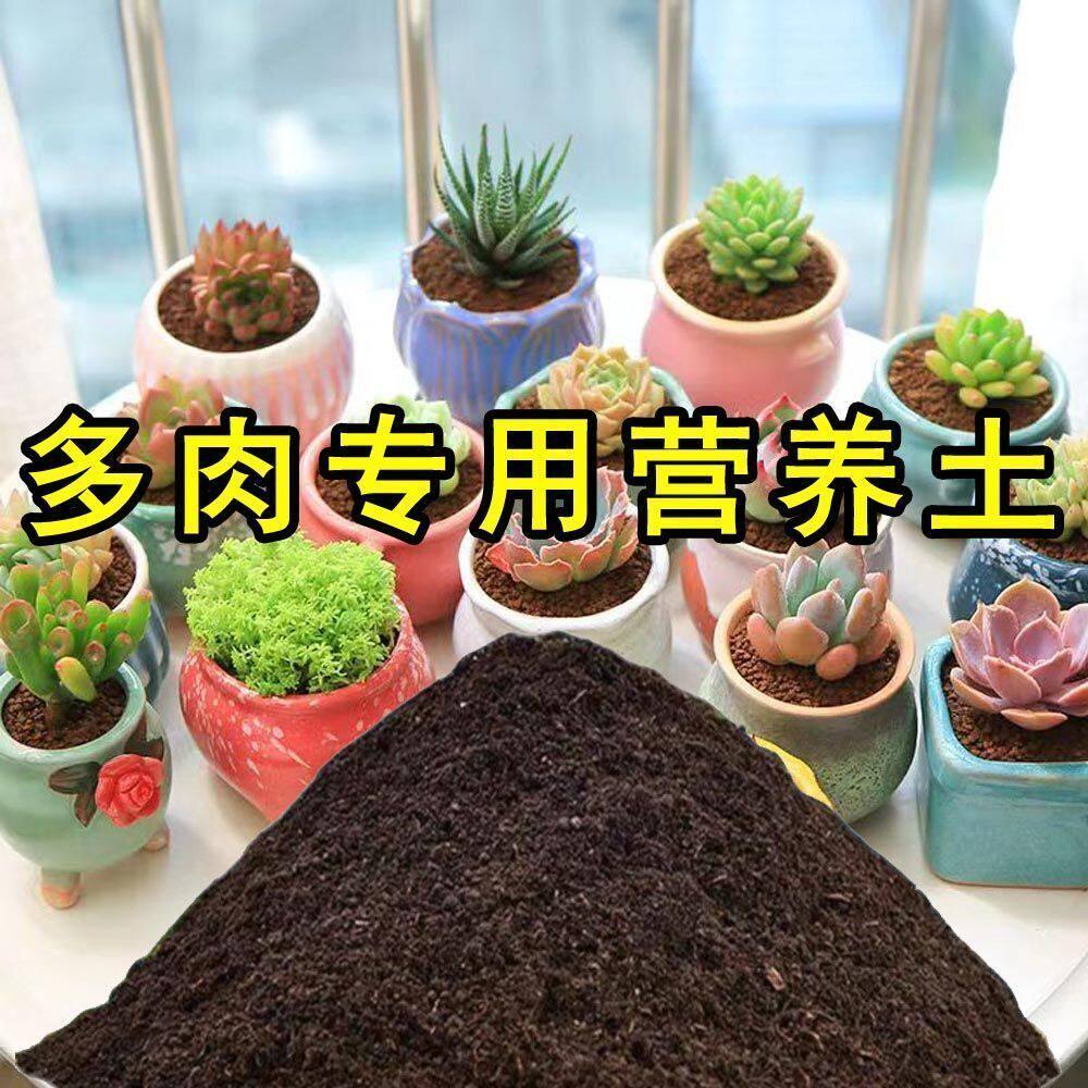 多肉营养土多肉幼苗土壤盆栽土种植土阳台种花土养花土专用花卉土