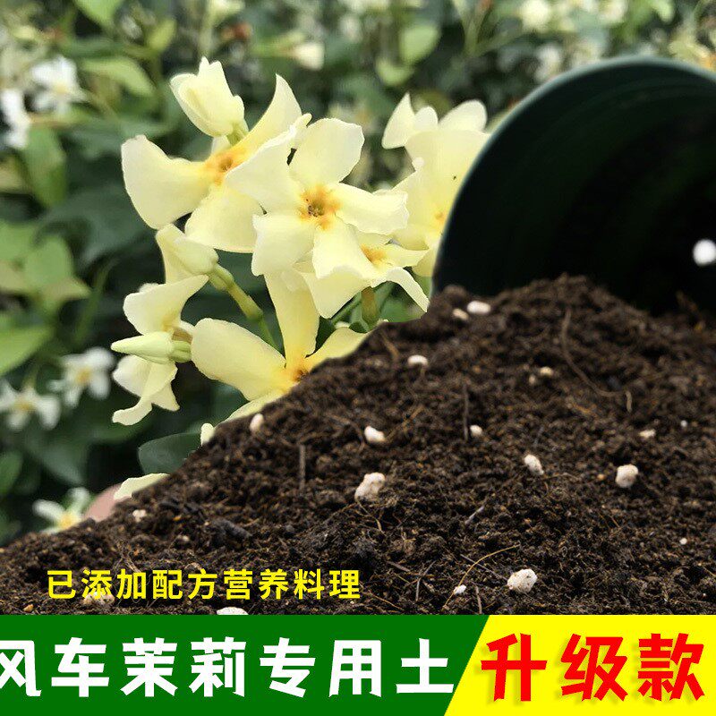 风车茉莉专用土有机土肥料家用种植土风车茉莉营养土盆栽养花包邮
