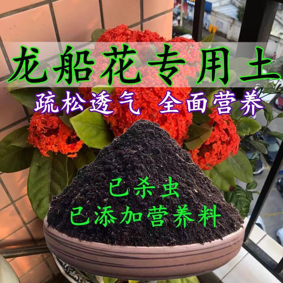 龙船花专用土龙船花专用营养土盆栽土养花种花土通用种植土壤肥料