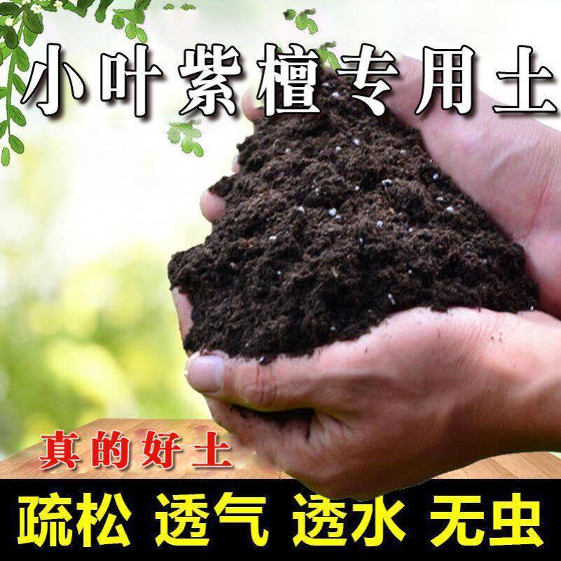 小叶紫檀专用土盆栽营养土家用花土壤通用弱酸性泥碳土种植土肥料