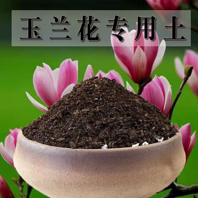 玉兰花专用土玉兰花土盆栽土肥料种花泥土营养土优质种植土壤养花