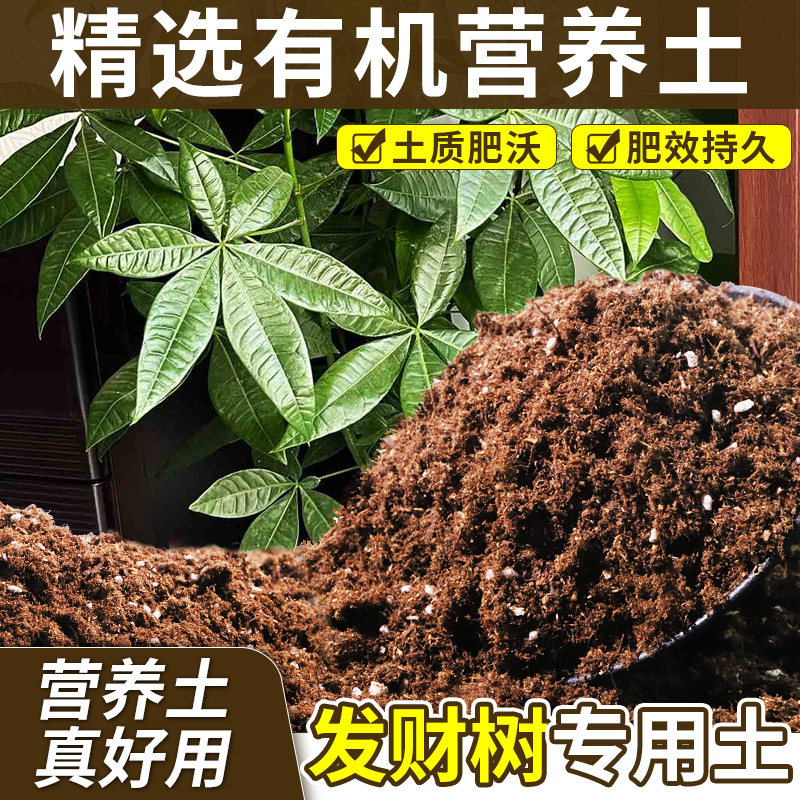 发财树适用种植土不烧根不烧苗盆栽土有机涵养养分无草籽木本