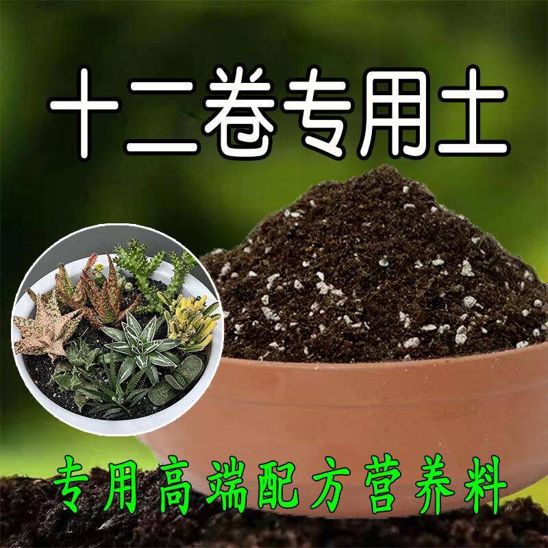 十二卷专用土多肉营养土玉露玉扇植物颗粒土种植花泥土有机腐殖土
