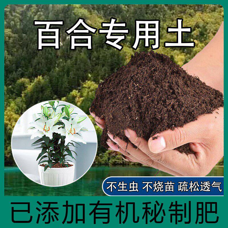 百合专用土肥料种花养花盆栽绿植土百合花营养土种植有机土壤包邮